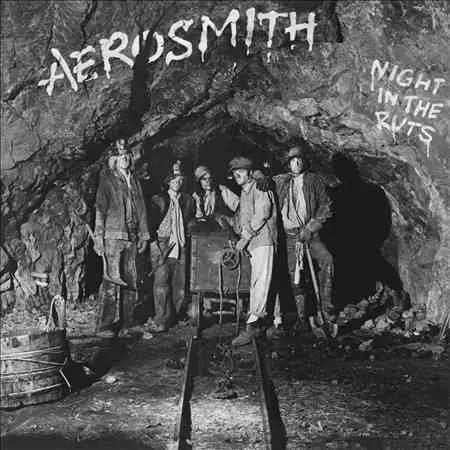 Night in the Ruts [180-Gram Vinyl]