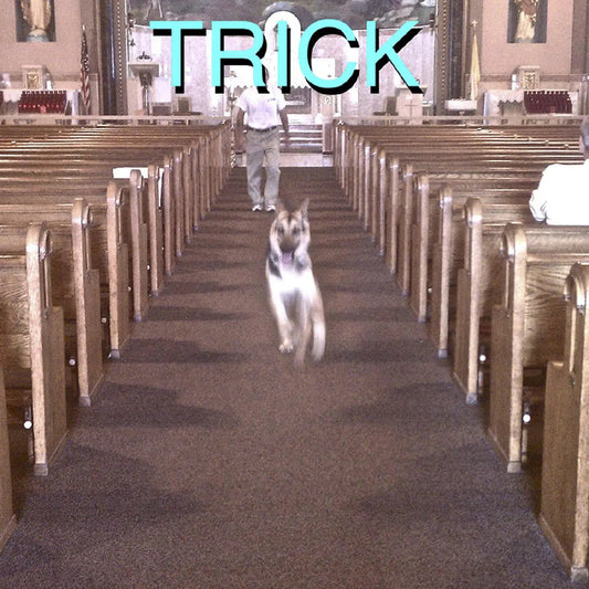 Trick [Deluxe Vinyl with bonus 7" single]