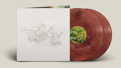Dragon New Warm Mountain I Believe In You [Indie 2LP, Eco-Friendly Colored Vinyl]