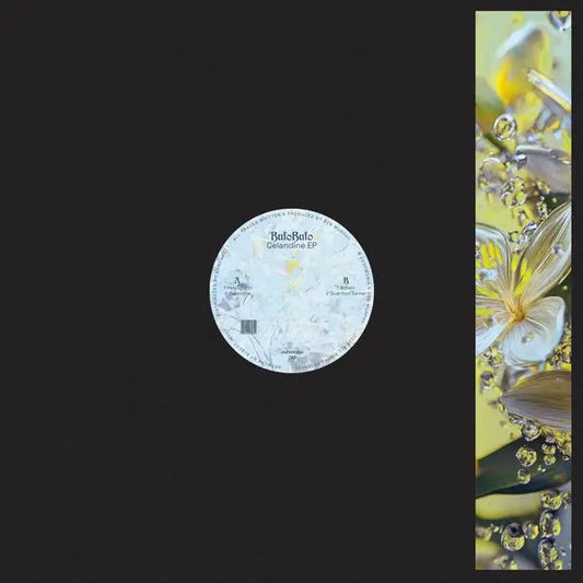 Celandine [12" Vinyl]