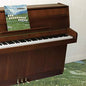 The Sophtware Slump.....On A Wooden Piano [Pink Vinyl]