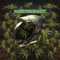 No Return (Green Vinyl) [LP]