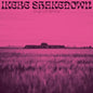 Kings Left Behind [Vinyl]