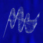 Windswept [Vinyl]