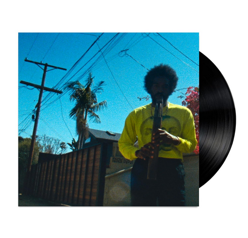 Moving Day [LP]