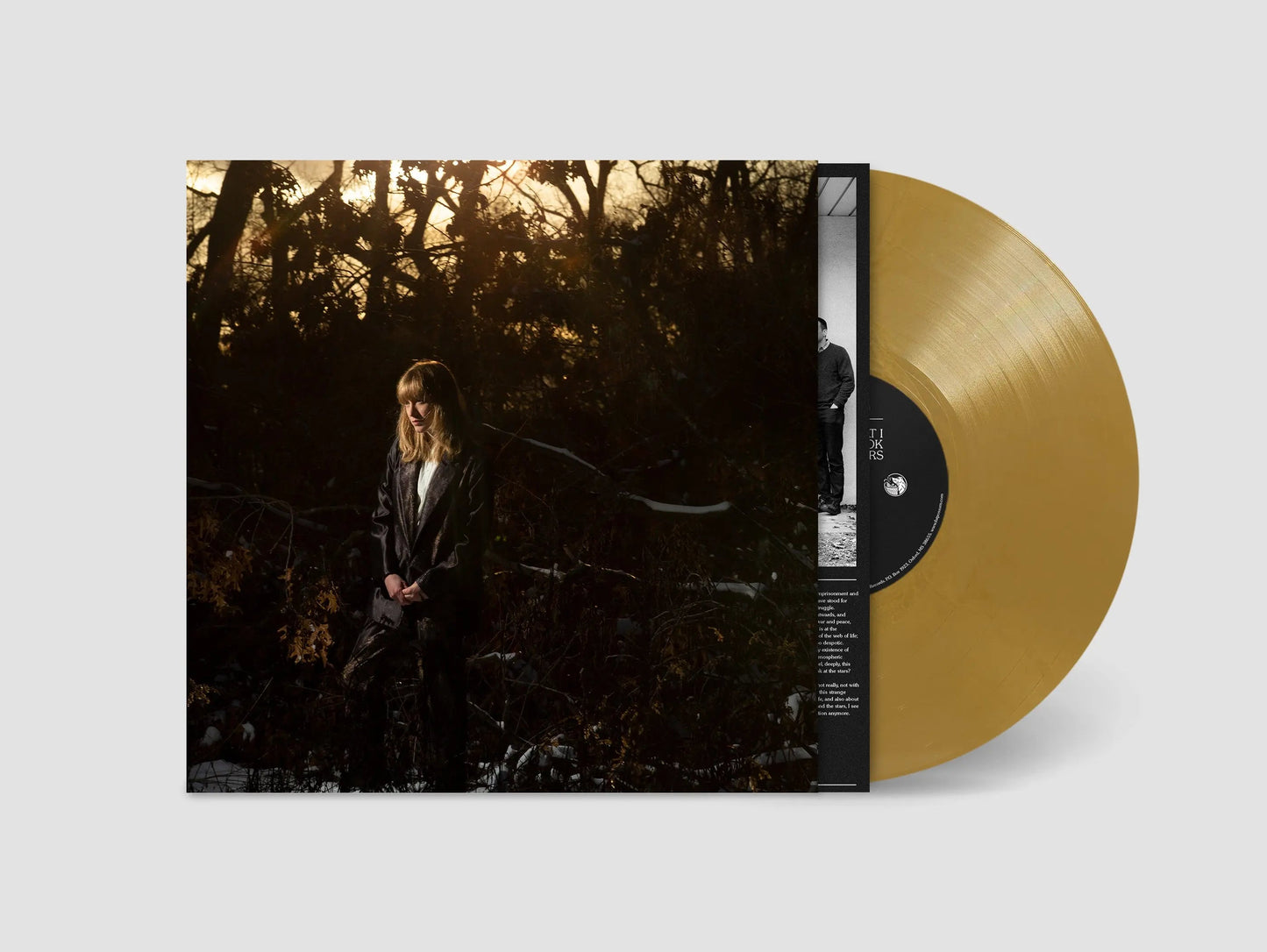 How Is It That I Should Look At The Stars [Colored Vinyl]