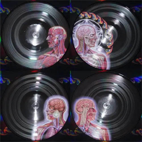 Lateralus [Picture Disc Vinyl]