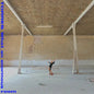 What an Enormous Room [Vinyl]